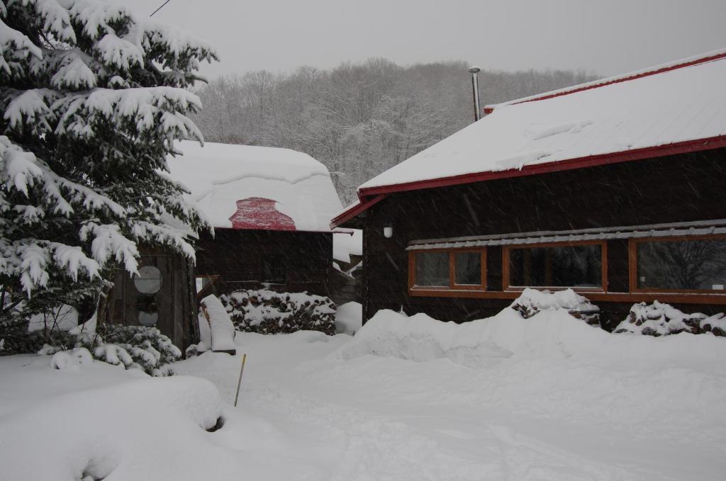 Goryo Guesthouse NakaNakafurano Extérieur photo